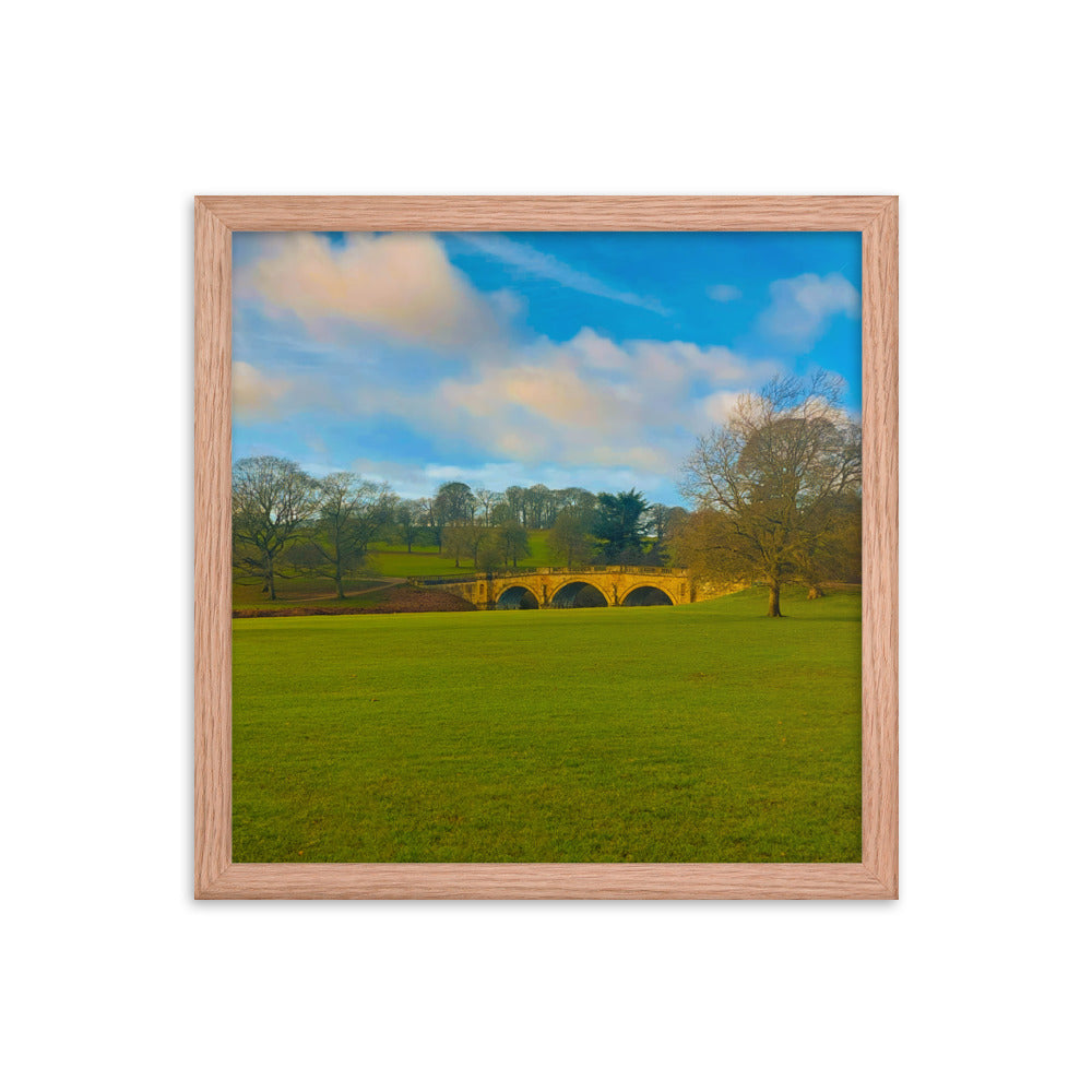 Leaves Are Gone  |  Framed Print