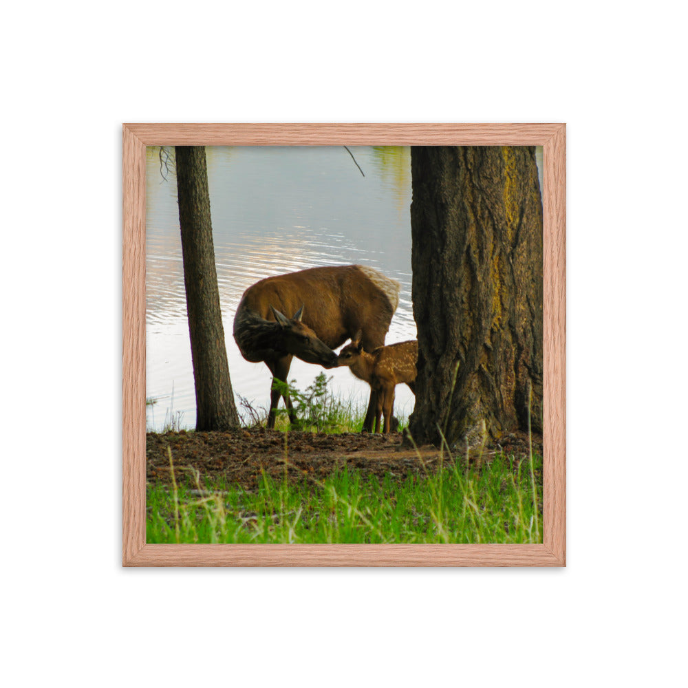 Kisses From Mom  |  Framed Print