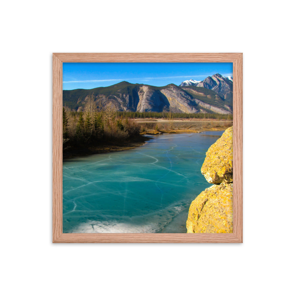 Spring Is Here  |  Framed Print