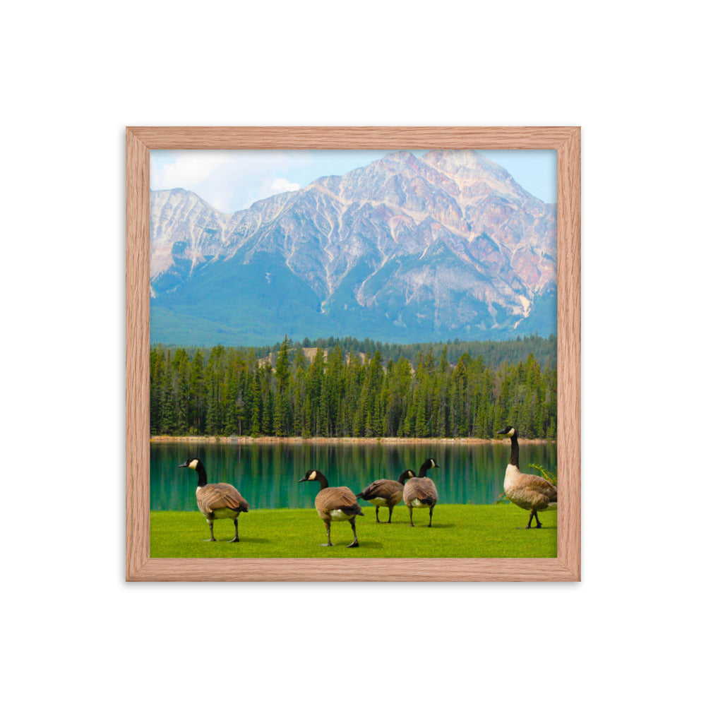 Canadians At The Lake  |  Framed Print