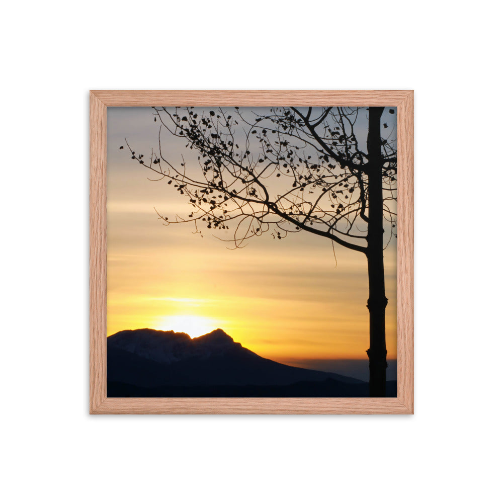 Shadow Frame  |  Framed Print