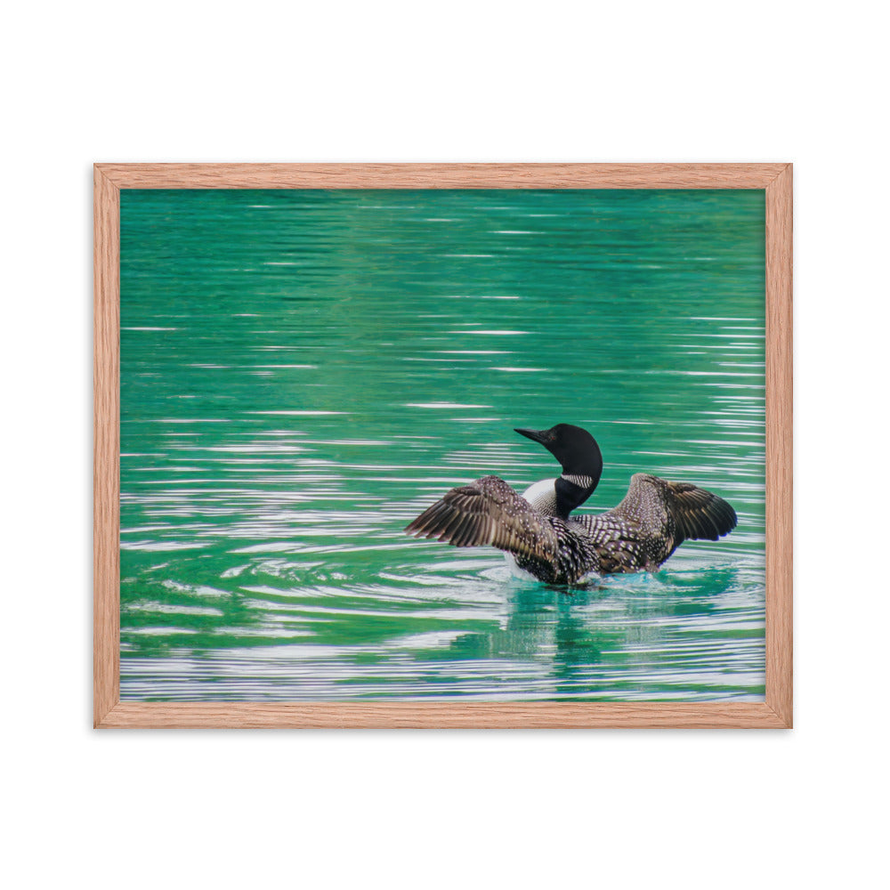 Loonie Loon  |  Framed Print