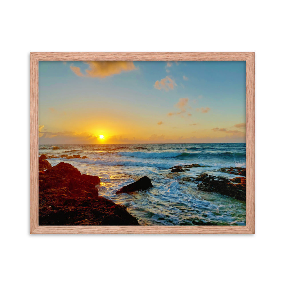 Morning Glory  |  Framed Print