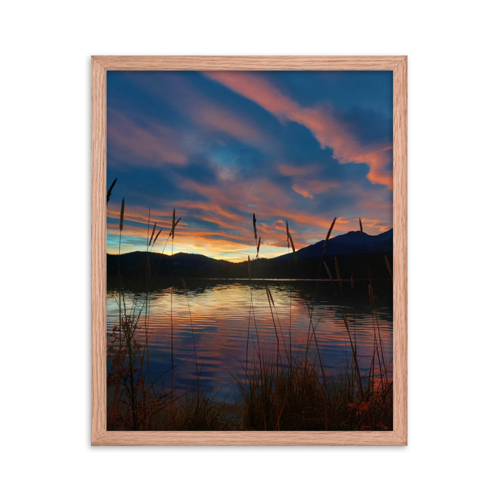 Sky Of Cotton  |  Framed Print