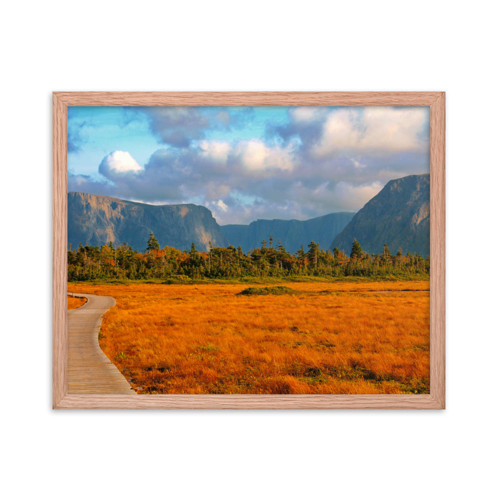 Gros Morne  |  Framed Print