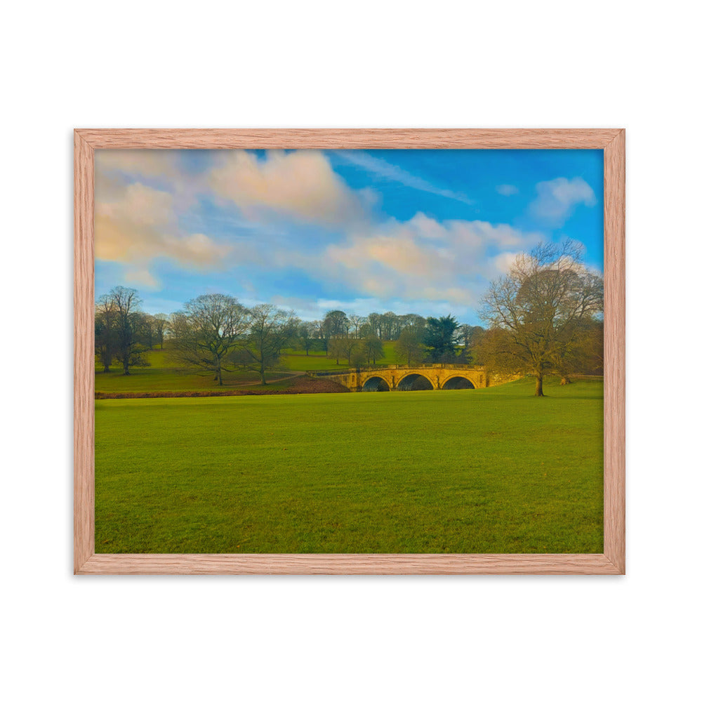 Leaves Are Gone  |  Framed Print