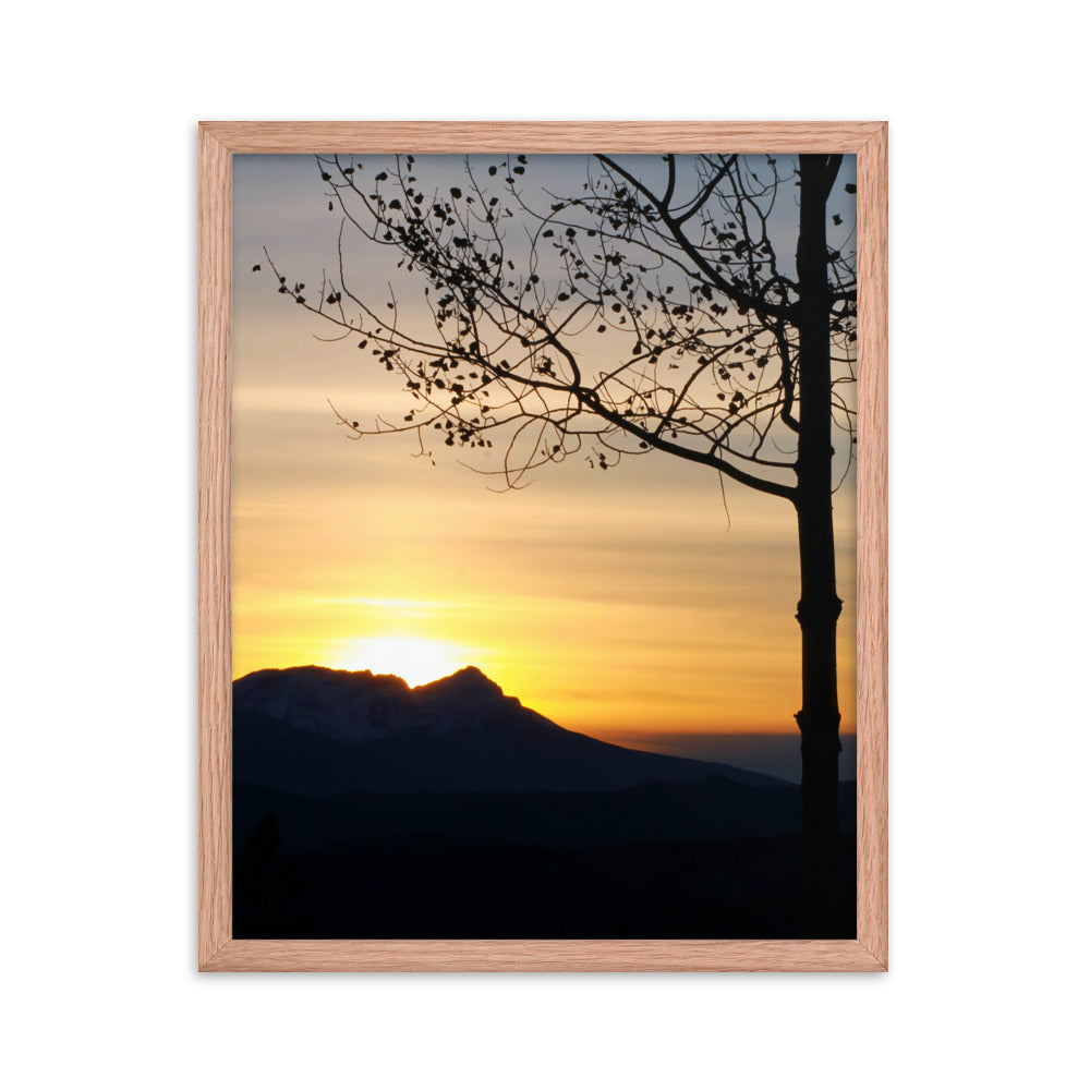 Shadow Frame  |  Framed Print