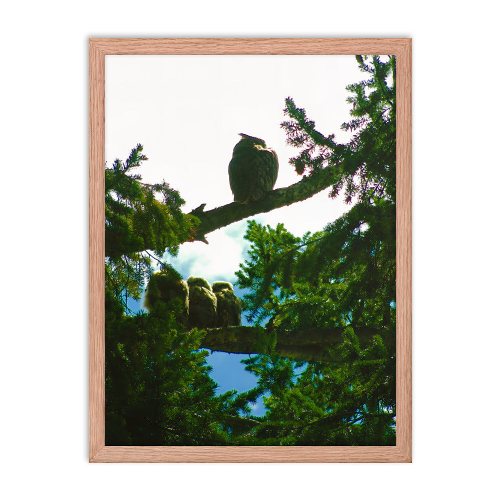 Just Owling  |  Framed Print