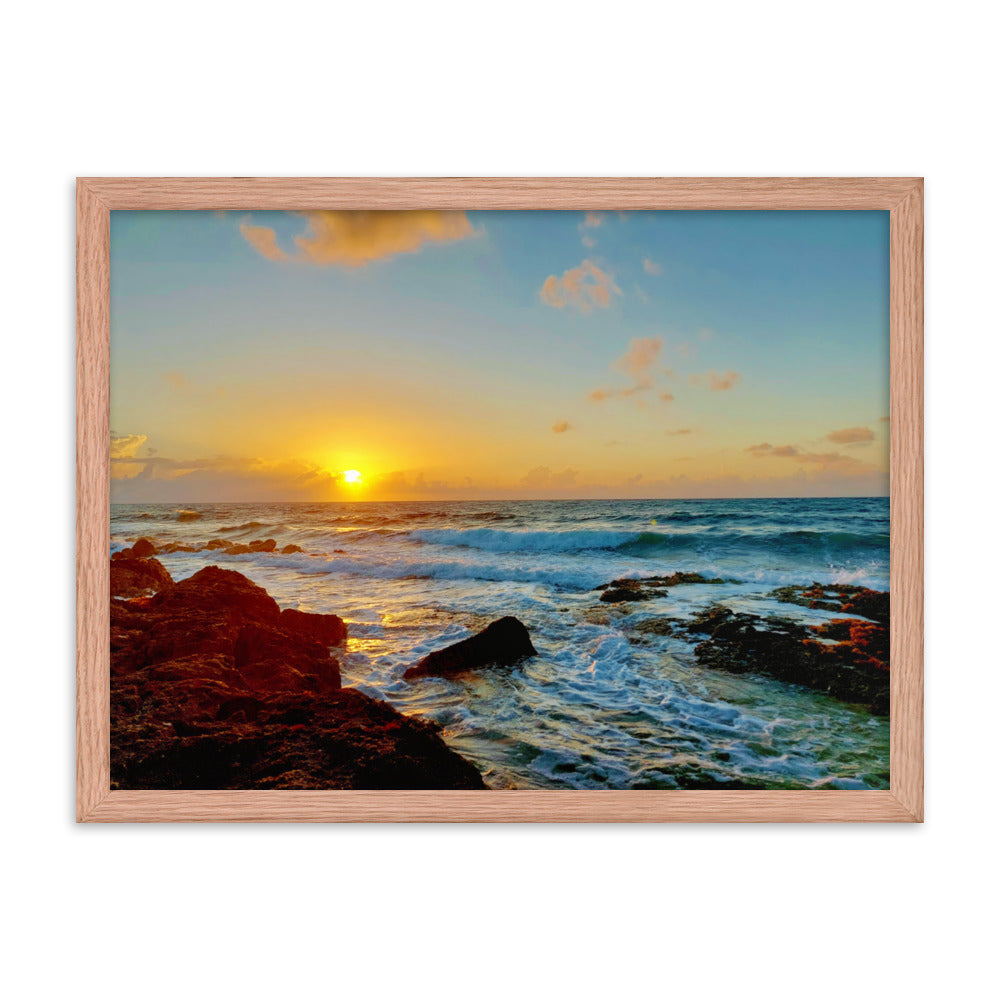 Morning Glory  |  Framed Print