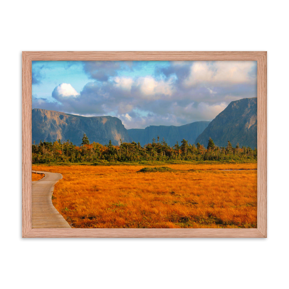 Gros Morne  |  Framed Print