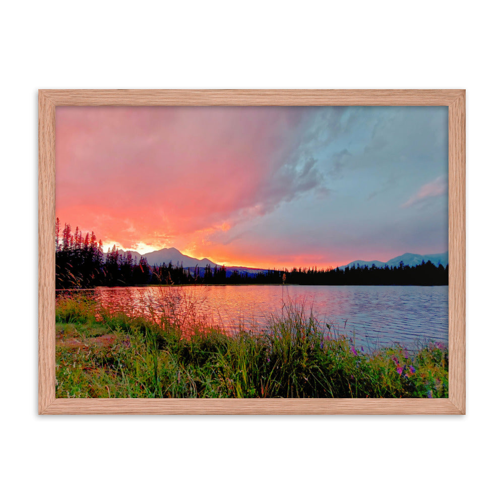 Delightfully Pink  |  Framed Print