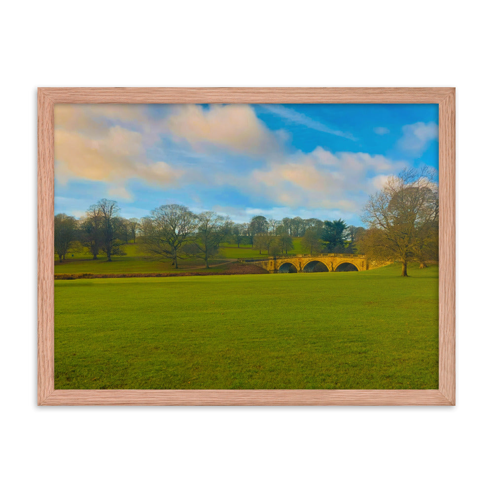 Leaves Are Gone  |  Framed Print