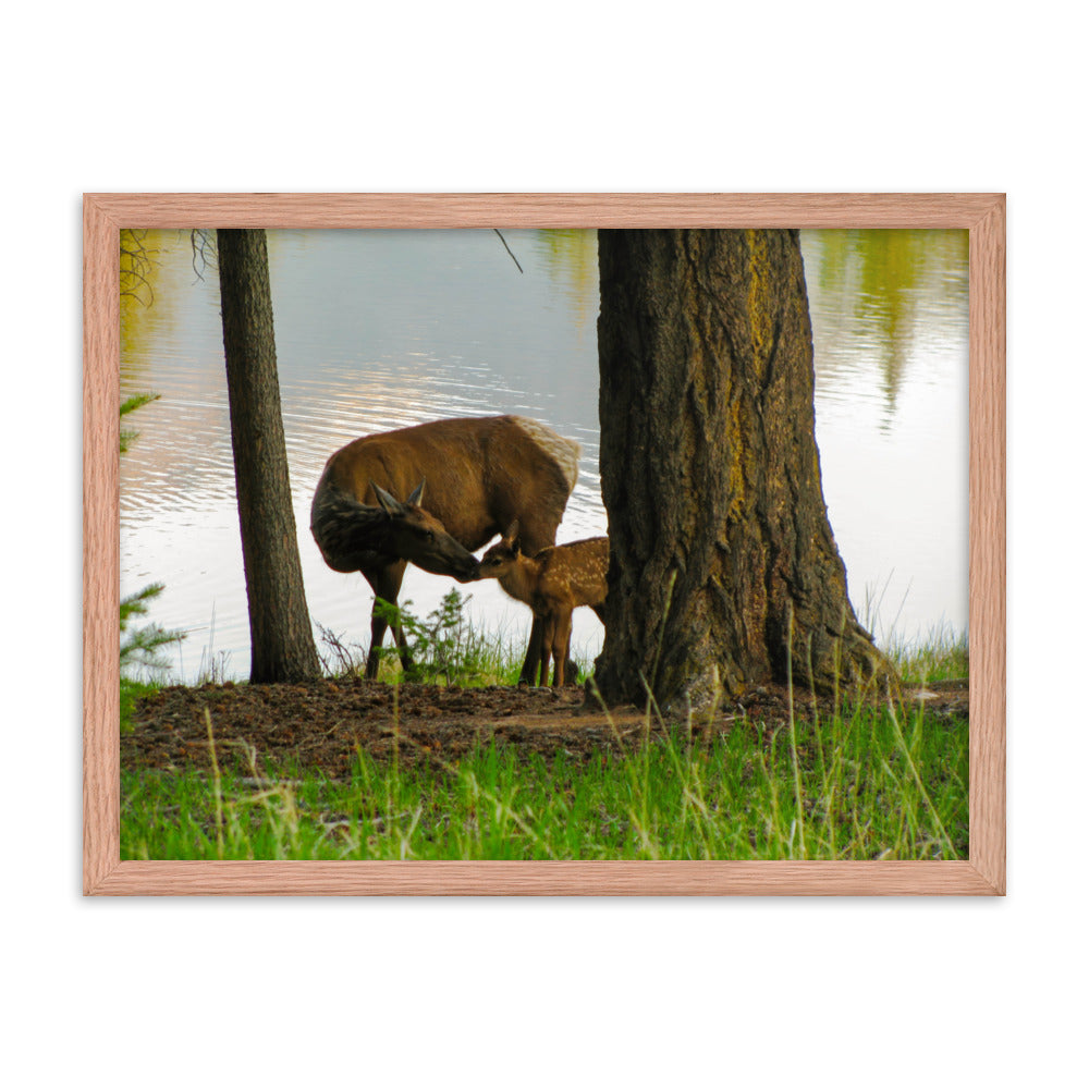 Kisses From Mom  |  Framed Print