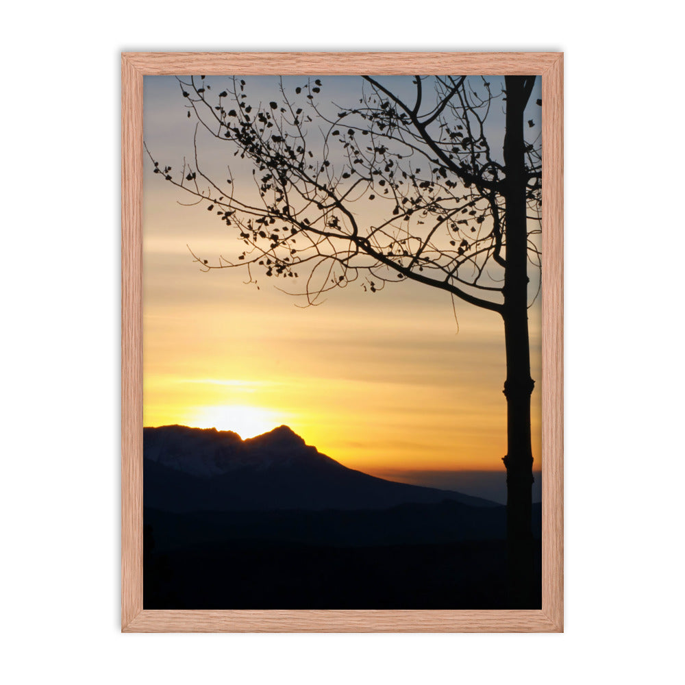 Shadow Frame  |  Framed Print