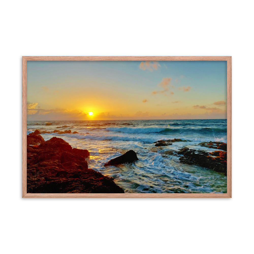 Morning Glory  |  Framed Print