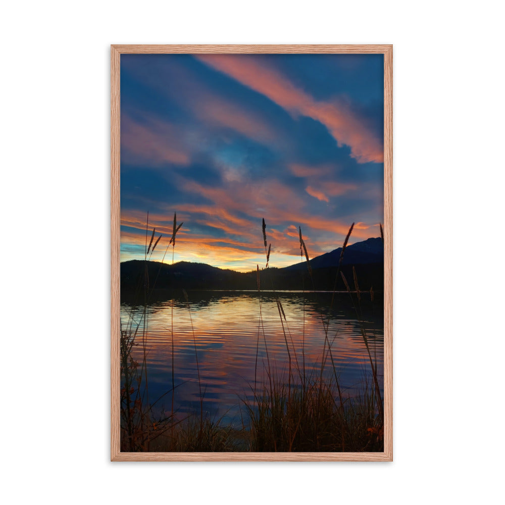 Sky Of Cotton  |  Framed Print