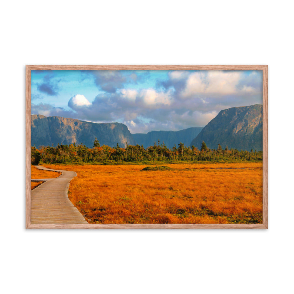 Gros Morne  |  Framed Print