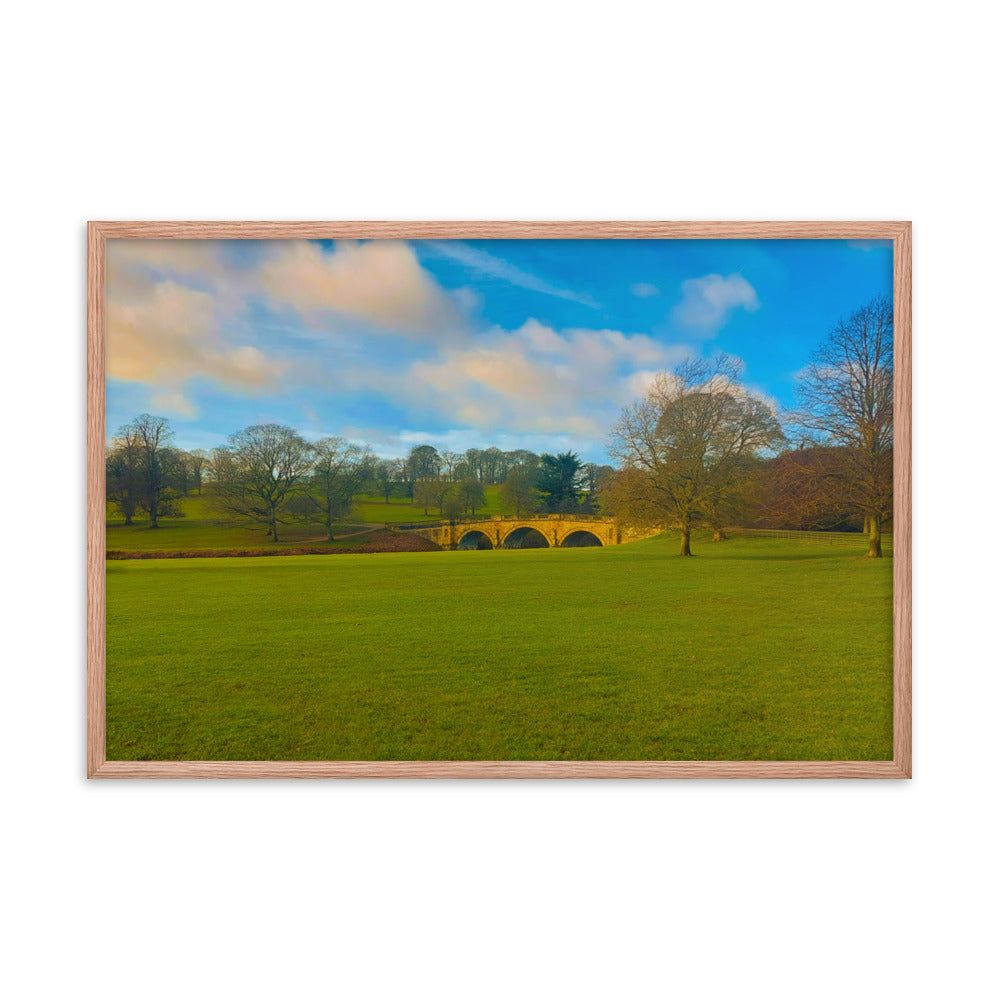 Leaves Are Gone  |  Framed Print