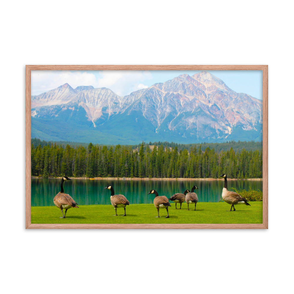 Canadians At The Lake  |  Framed Print