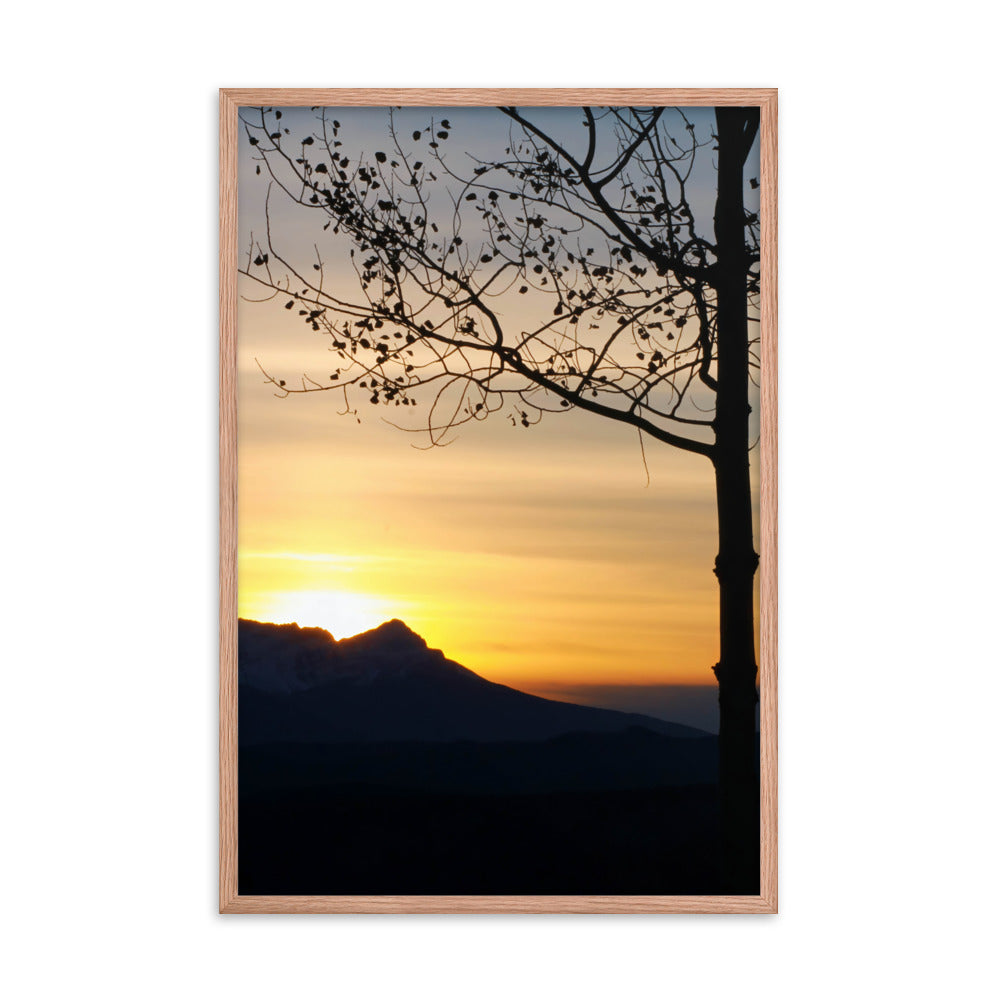 Shadow Frame  |  Framed Print