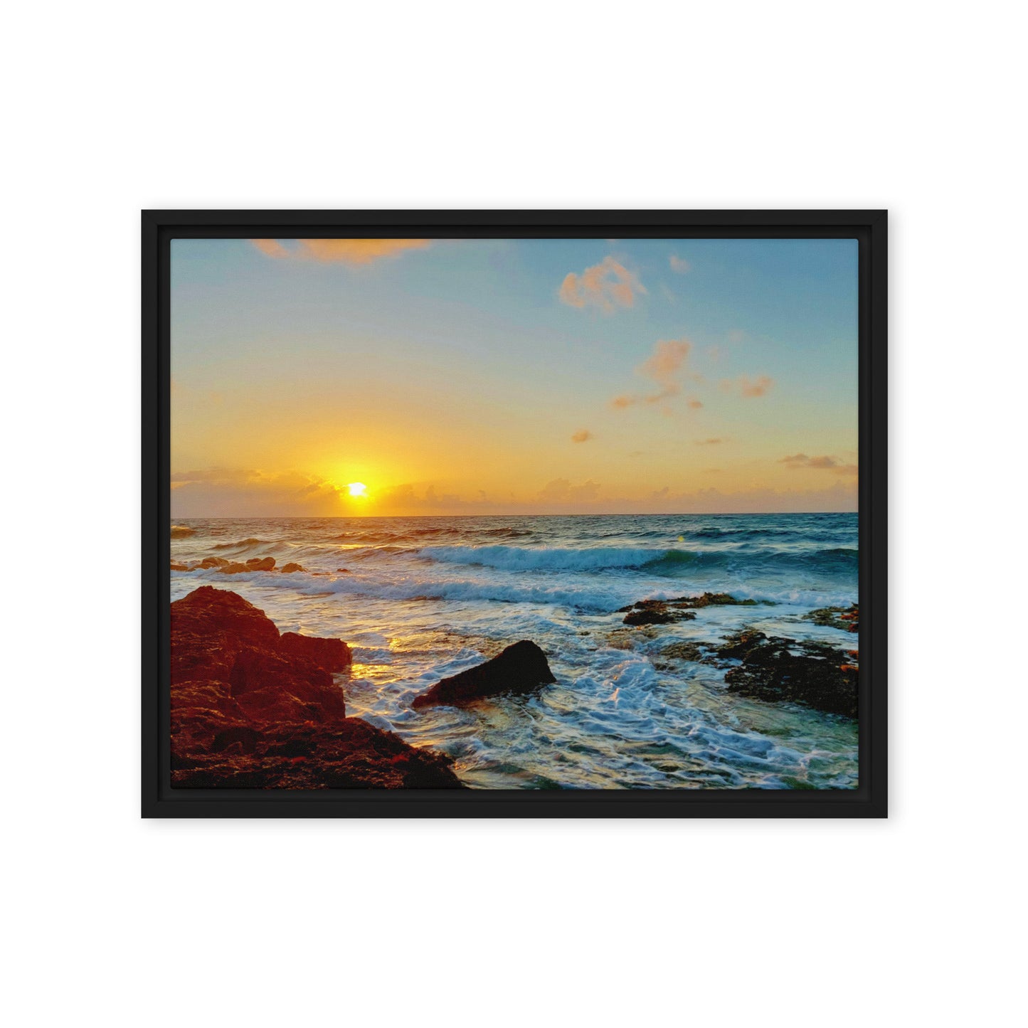 Morning Glory  |  Framed Canvas