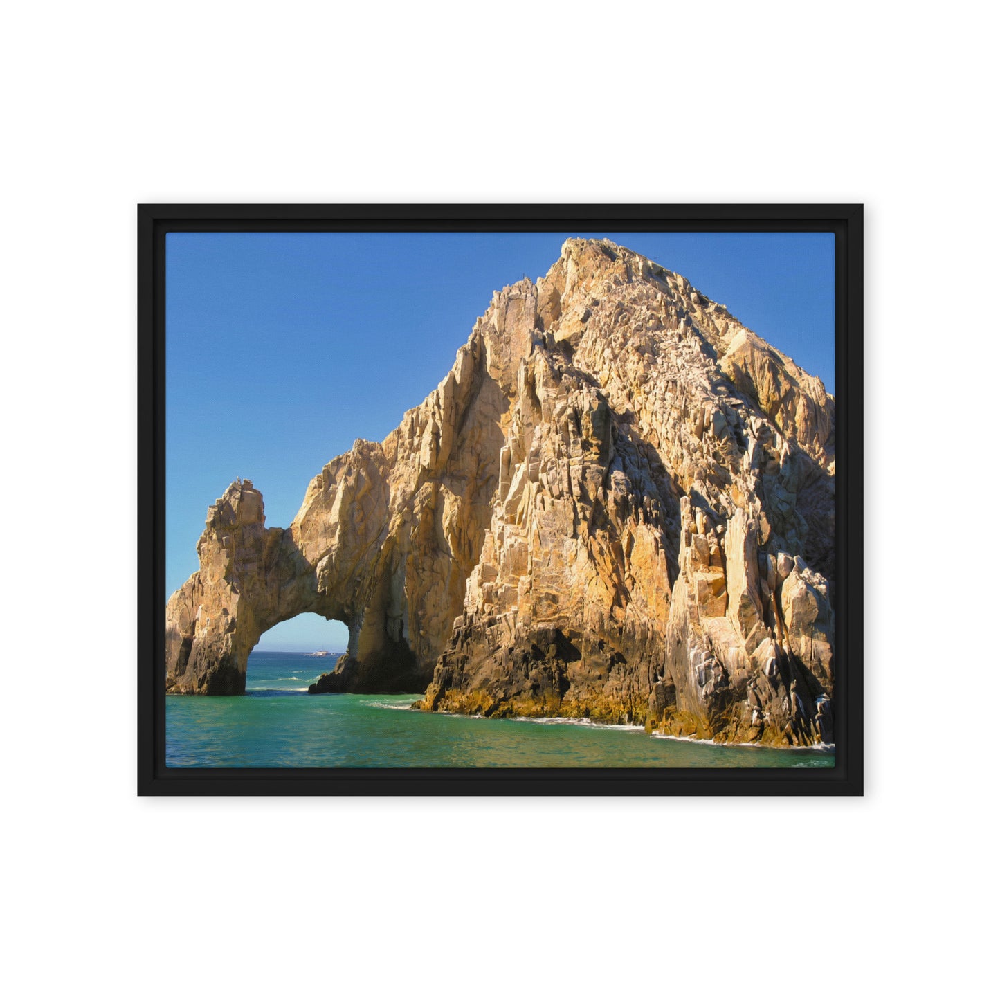 Loco Cabo  |  Framed Canvas