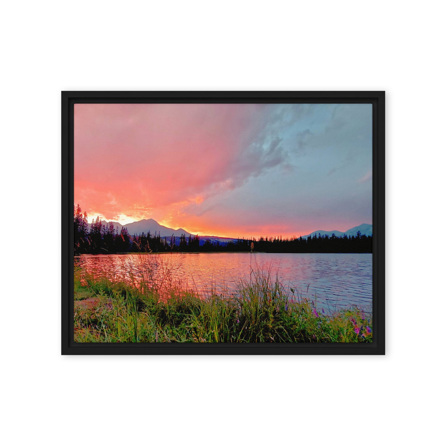 Delightfully Pink  |  Framed Canvas