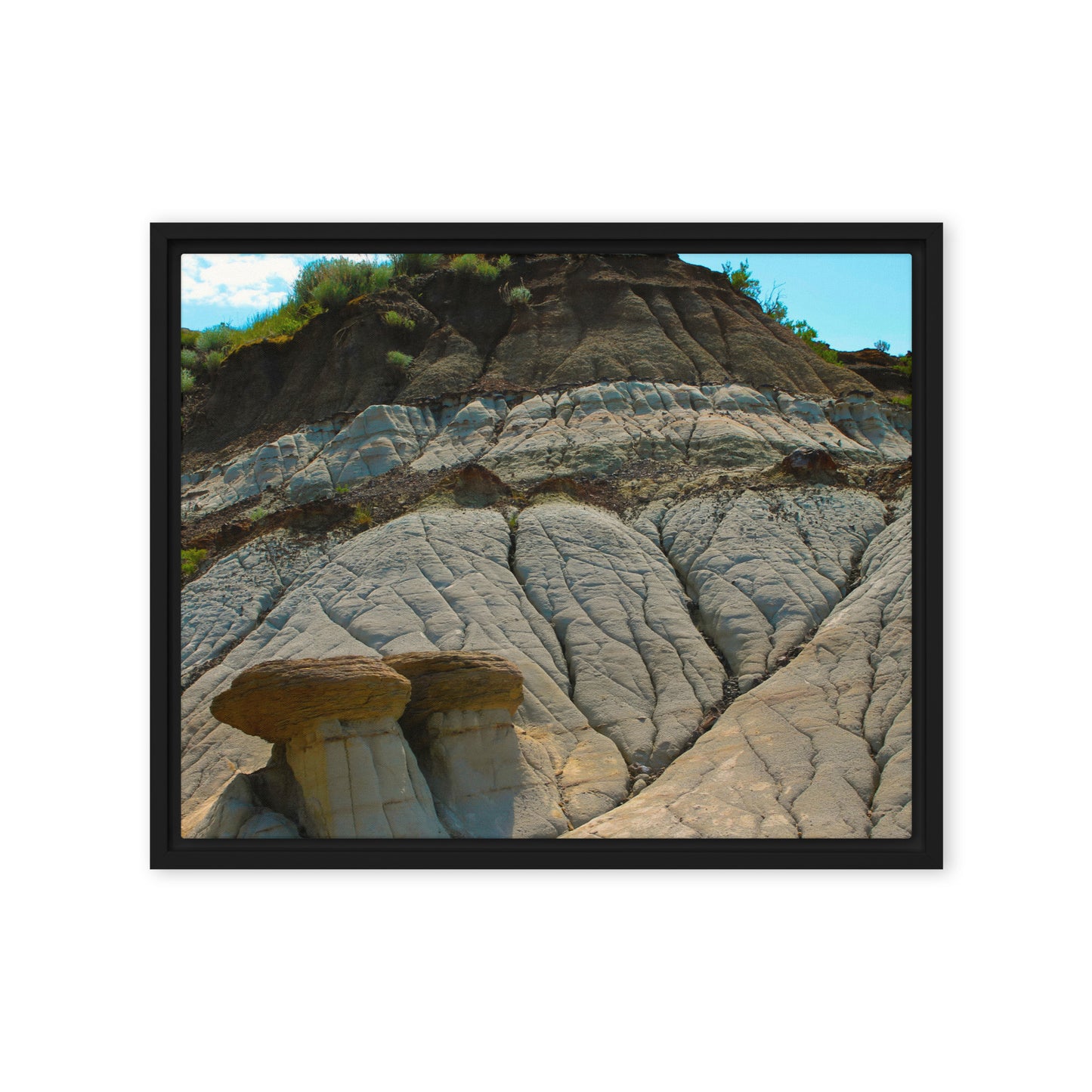 Mushroom Rocks  |  Framed Canvas