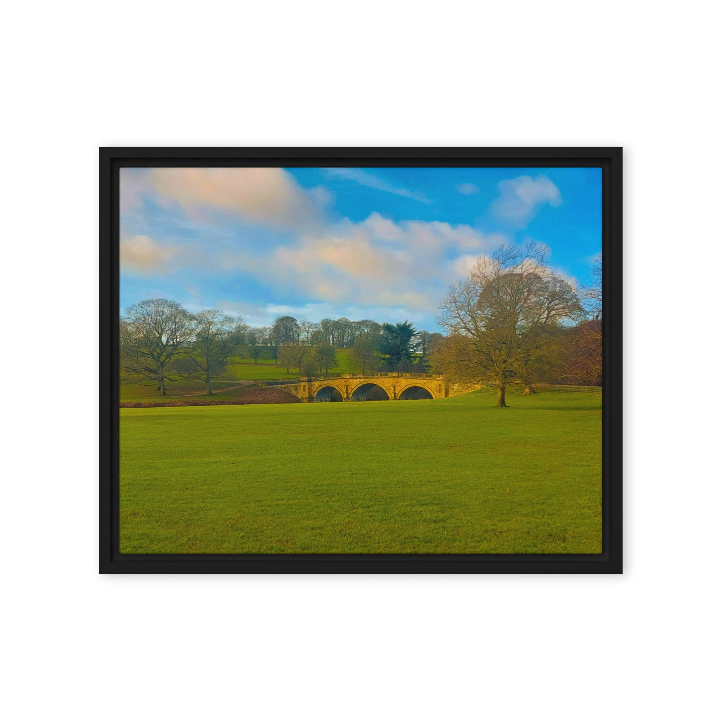 Leaves Are Gone  |  Framed Canvas