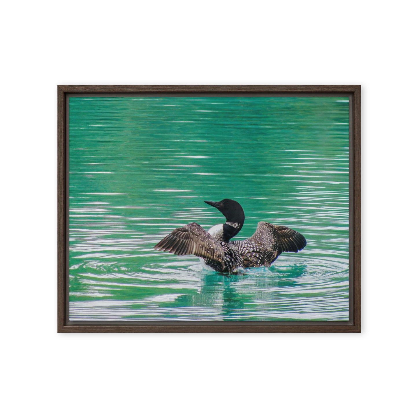 Loonie Loon  |  Framed Canvas