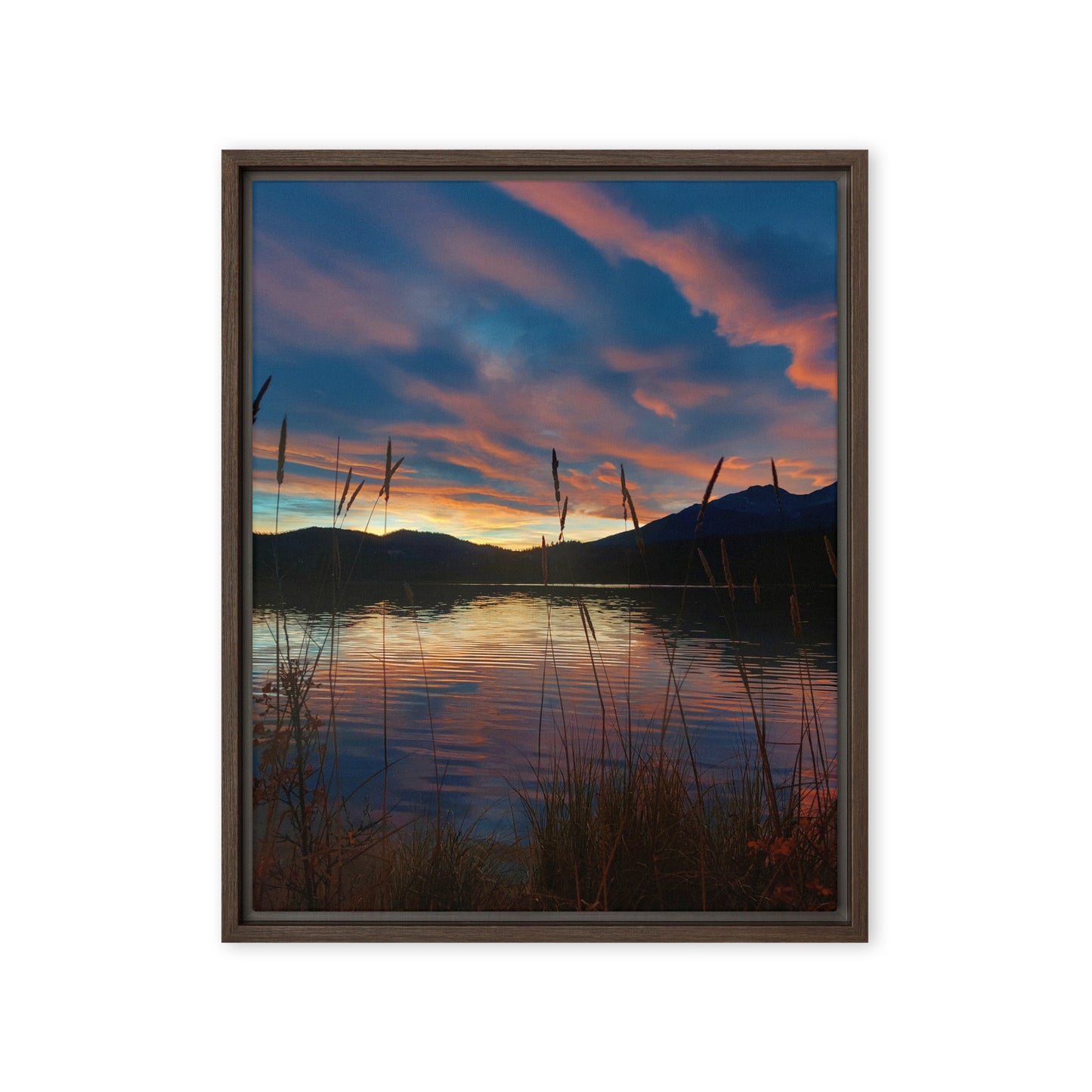 Sky Of Cotton  |  Framed Canvas