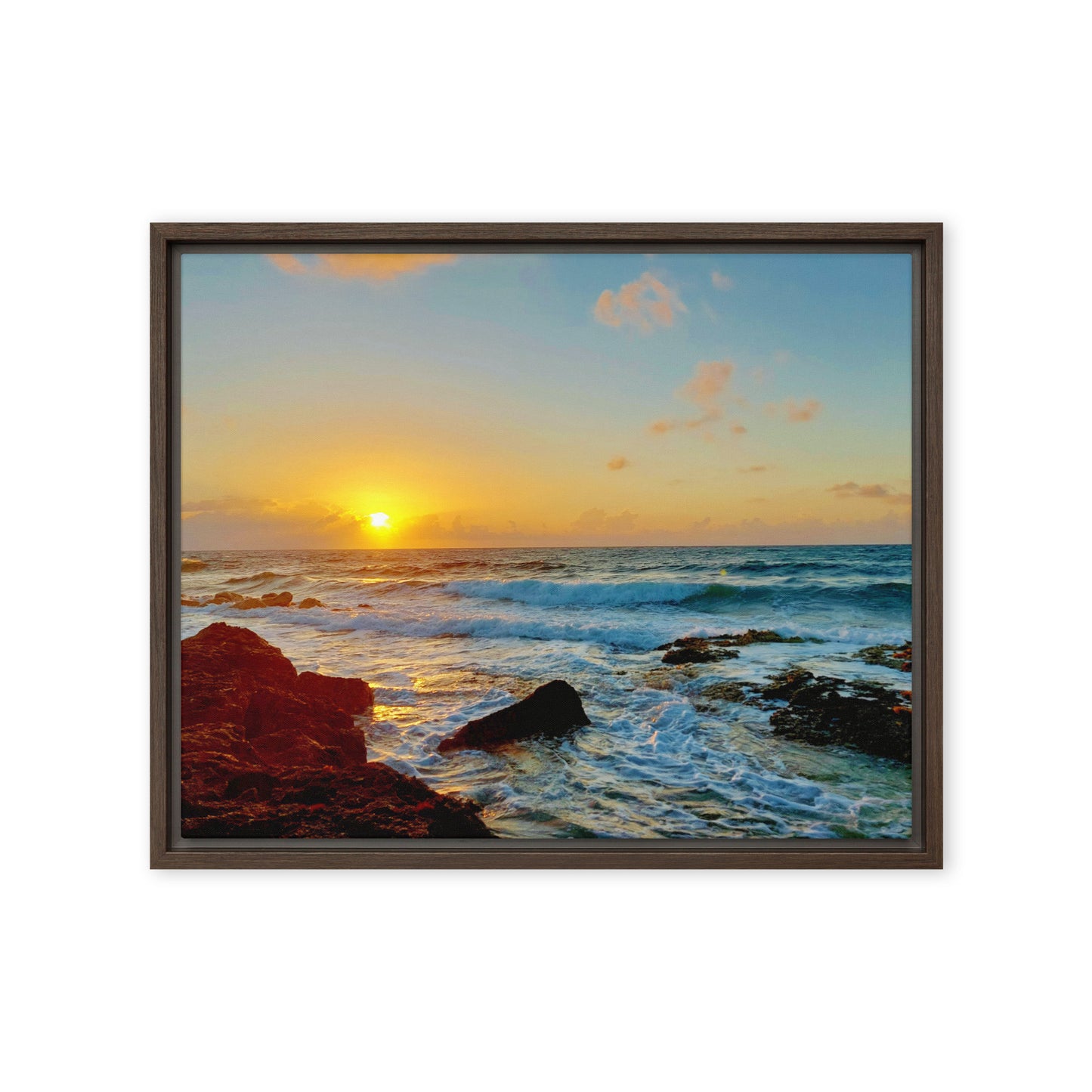 Morning Glory  |  Framed Canvas