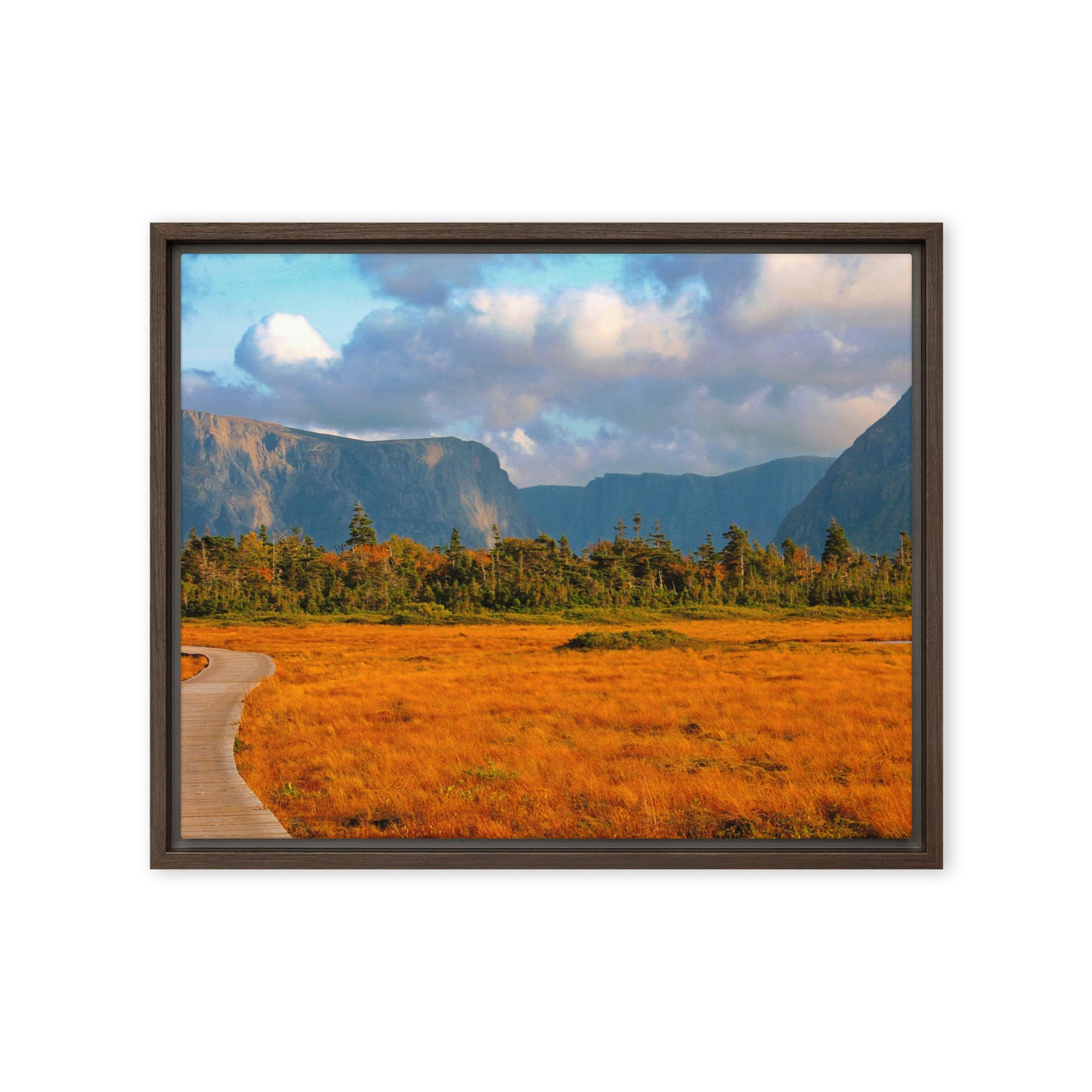 Gros Morne  |  Framed Canvas