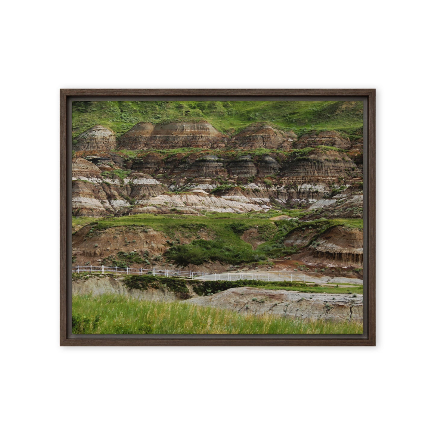 Green Canyon  |  Framed Canvas