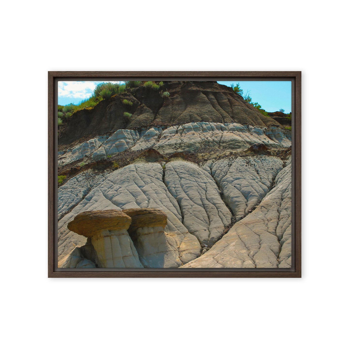 Mushroom Rocks  |  Framed Canvas