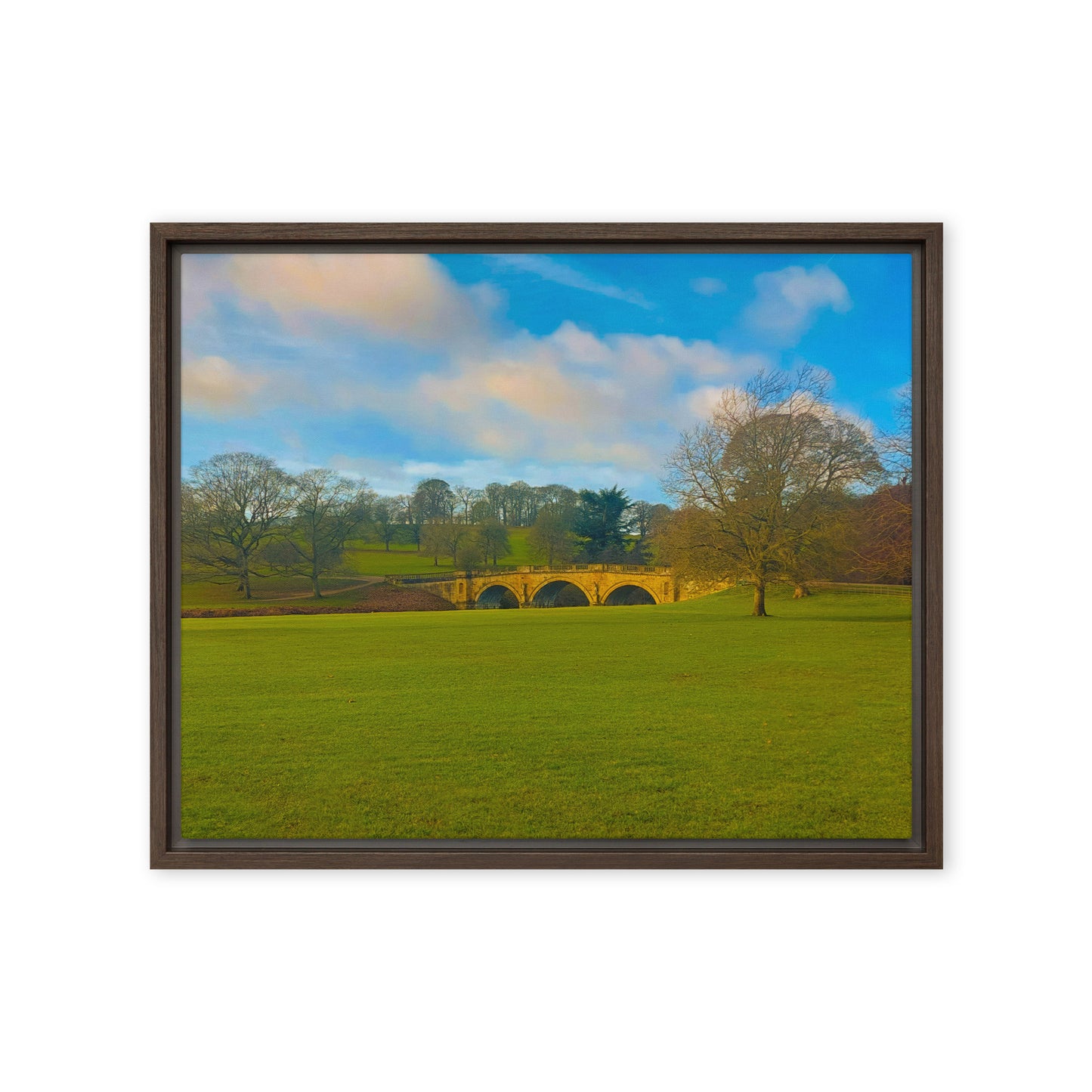 Leaves Are Gone  |  Framed Canvas