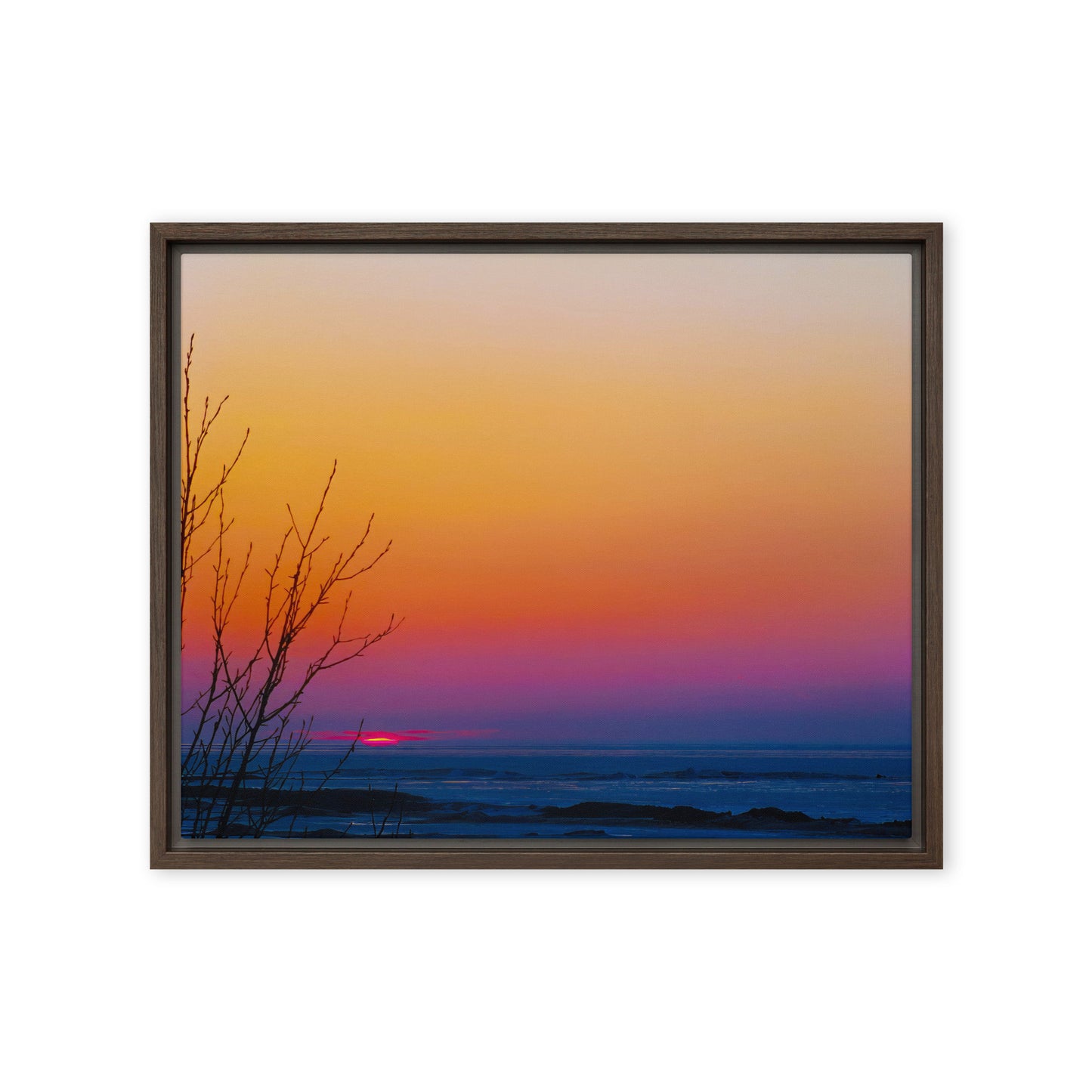 Rainbow Shine  |  Framed Canvas