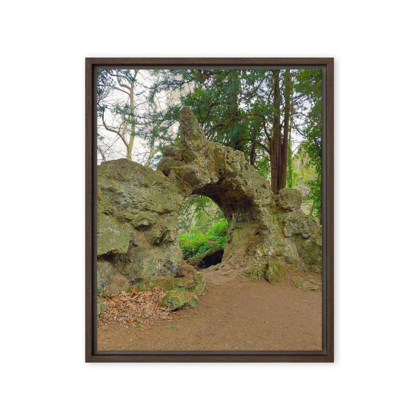 Derbyshire Wonderland  |  Framed Canvas