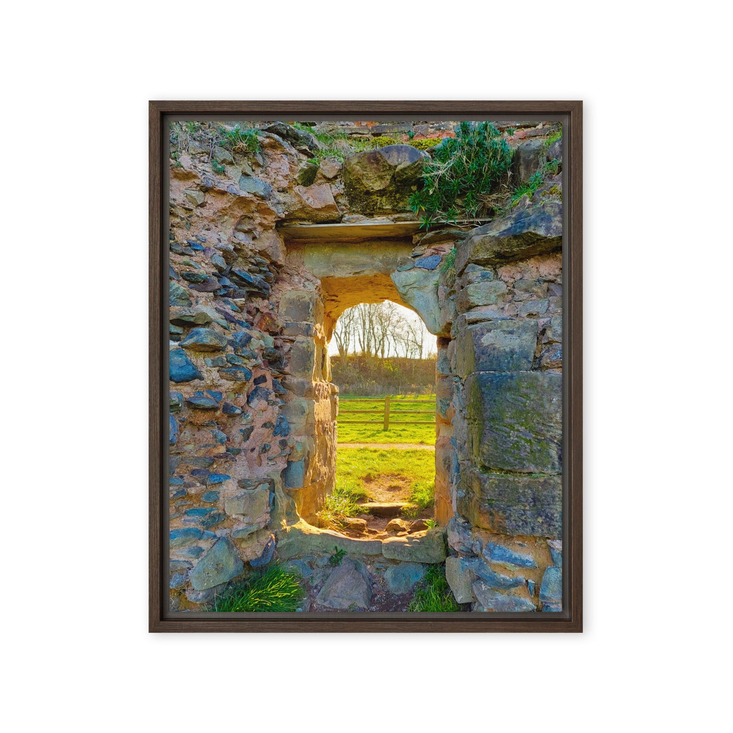 Glassless Window  |  Framed Canvas