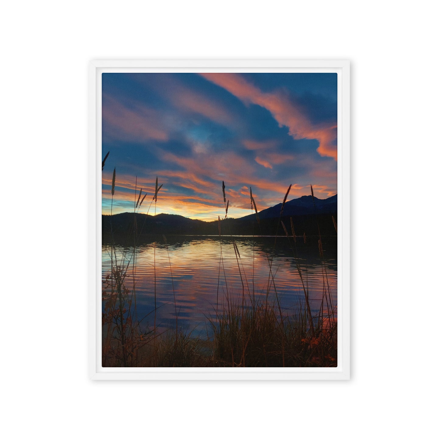 Sky Of Cotton  |  Framed Canvas