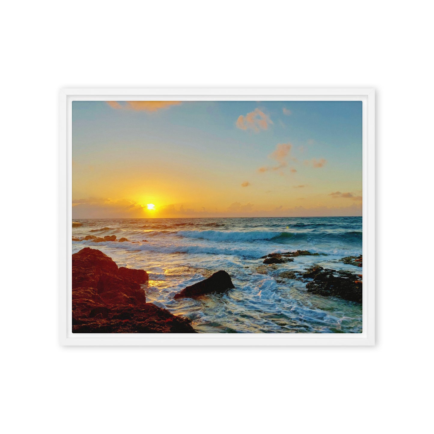 Morning Glory  |  Framed Canvas