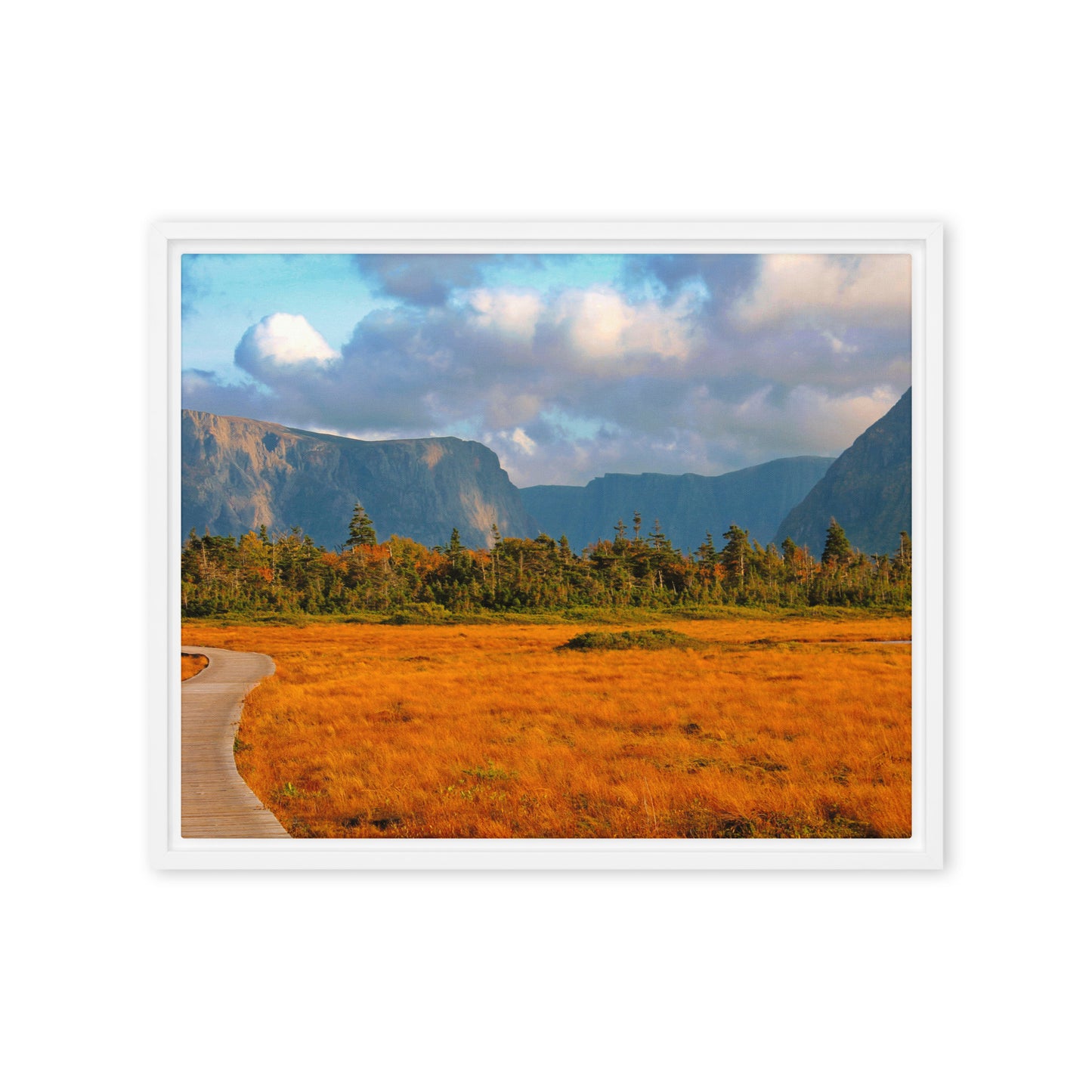 Gros Morne  |  Framed Canvas