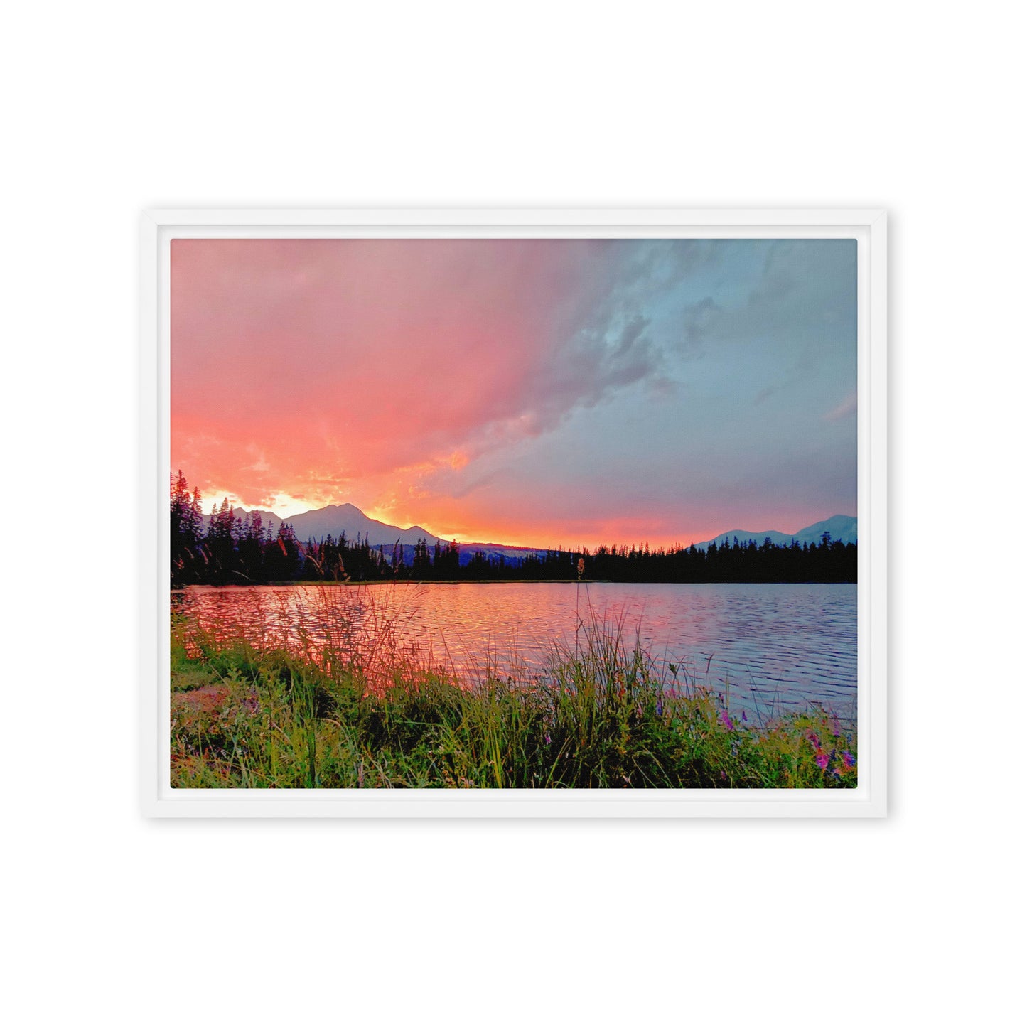 Delightfully Pink  |  Framed Canvas