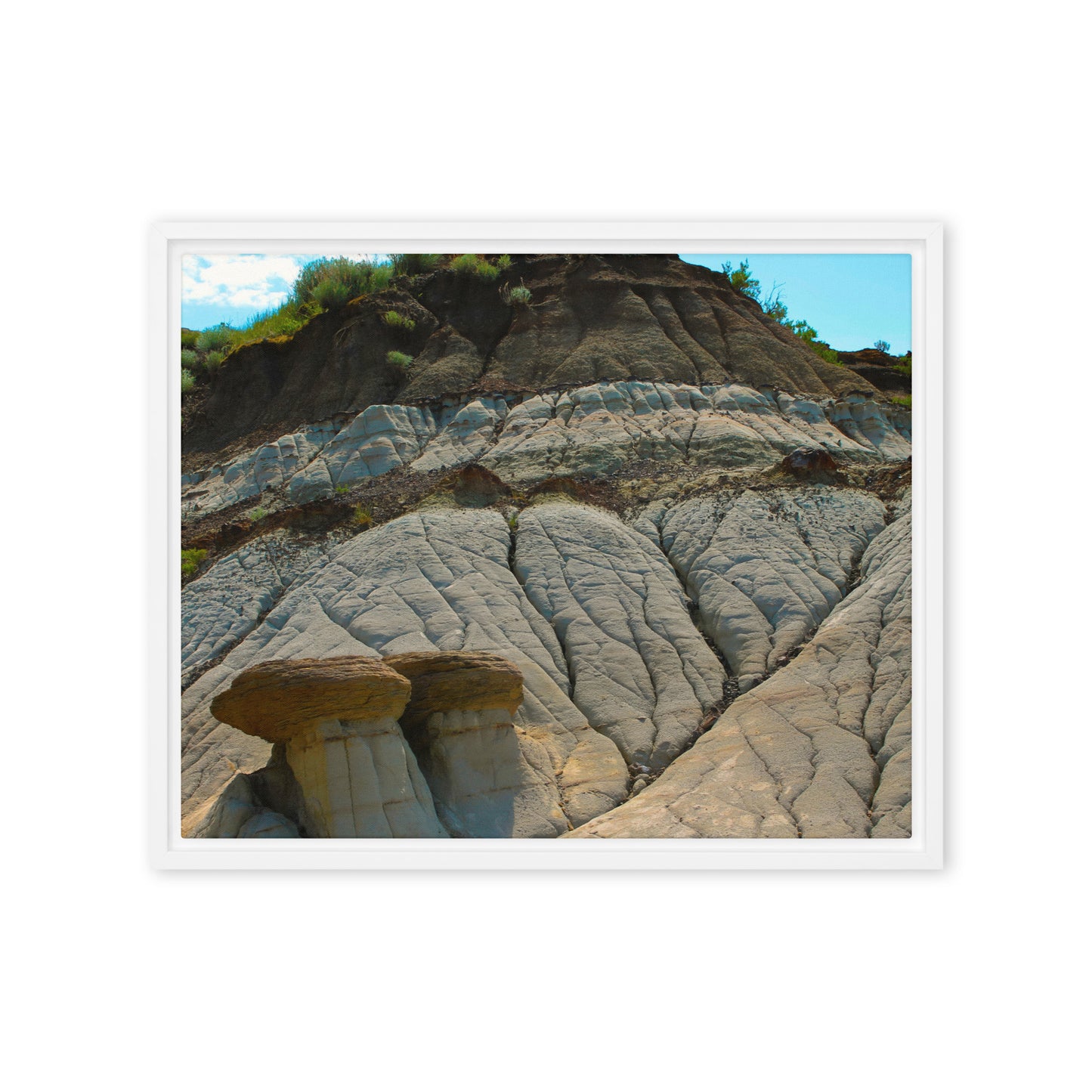 Mushroom Rocks  |  Framed Canvas