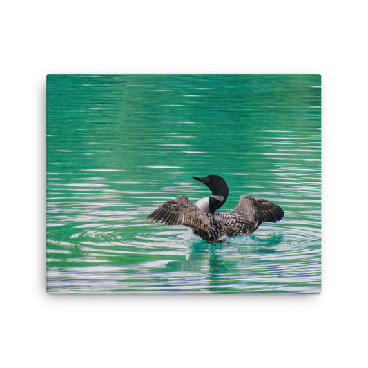 Loonie Loon  |  Canvas