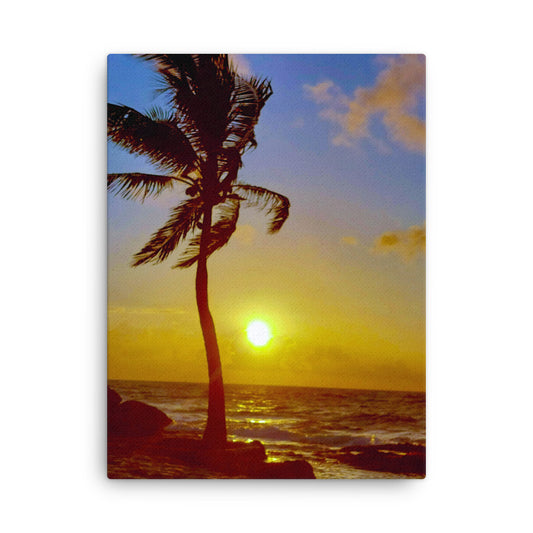 Edge Of Paradise  |  Canvas