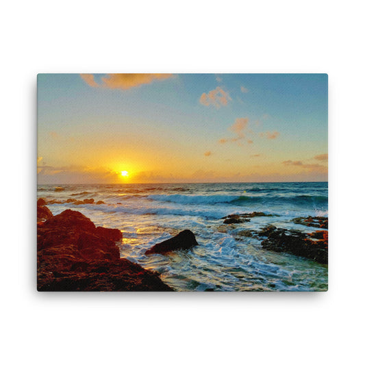 Morning Glory  |  Canvas