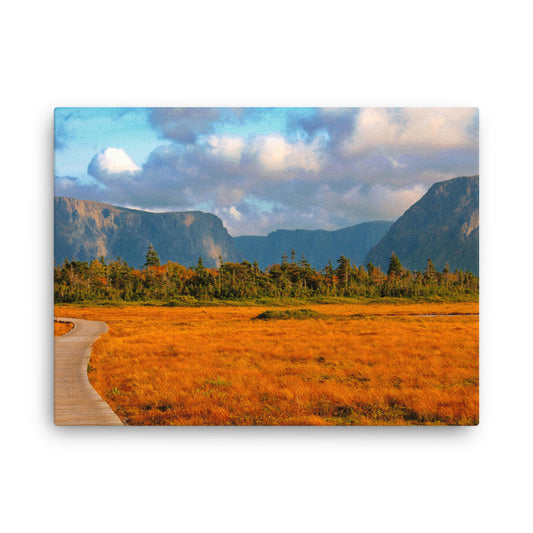 Gros Morne  |  Canvas