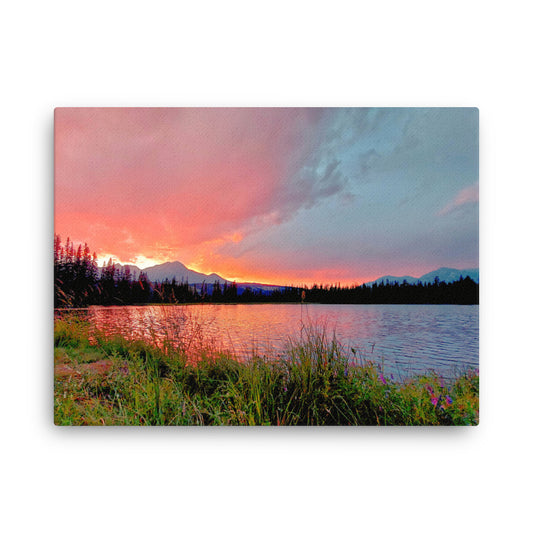 Delightfully Pink  |  Canvas