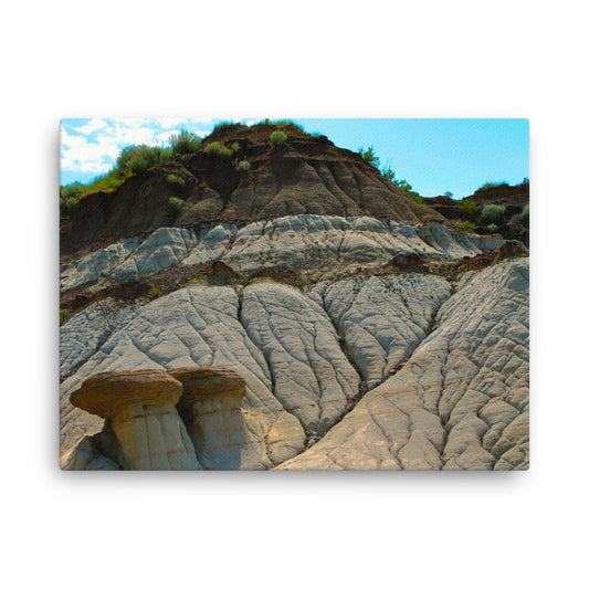 Mushroom Rocks  |  Canvas